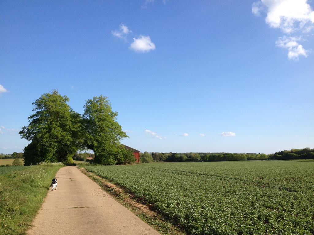 The Old Piggery Guest House & Yurts Bedford Extérieur photo